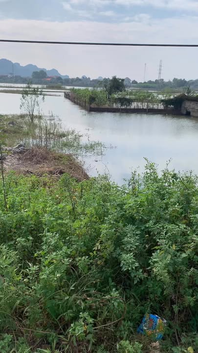 Đất nền mặt đường 477 Lạc Vân, Nho Quan 200m² - Cơ hội đầu tư sinh lời hấp dẫn!