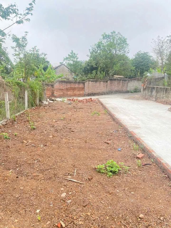 Đất nền Bất Bạt Ba Vì 100m² giá 700 triệu - Lô góc đẹp, sổ đỏ chính chủ!