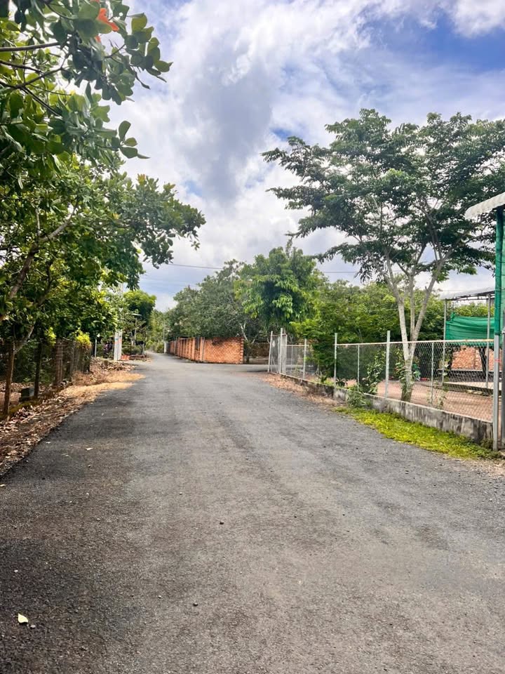 Đất thổ cư Hòa Hội, Xuyên Mộc 130m² chỉ 550 triệu - Cơ hội đầu tư tuyệt vời!