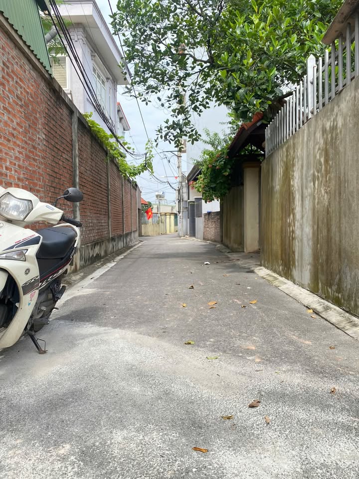 Đất nền Đa Tốn, Gia Lâm 62m² giá 5 tỷ - Tiềm năng tăng giá cao!