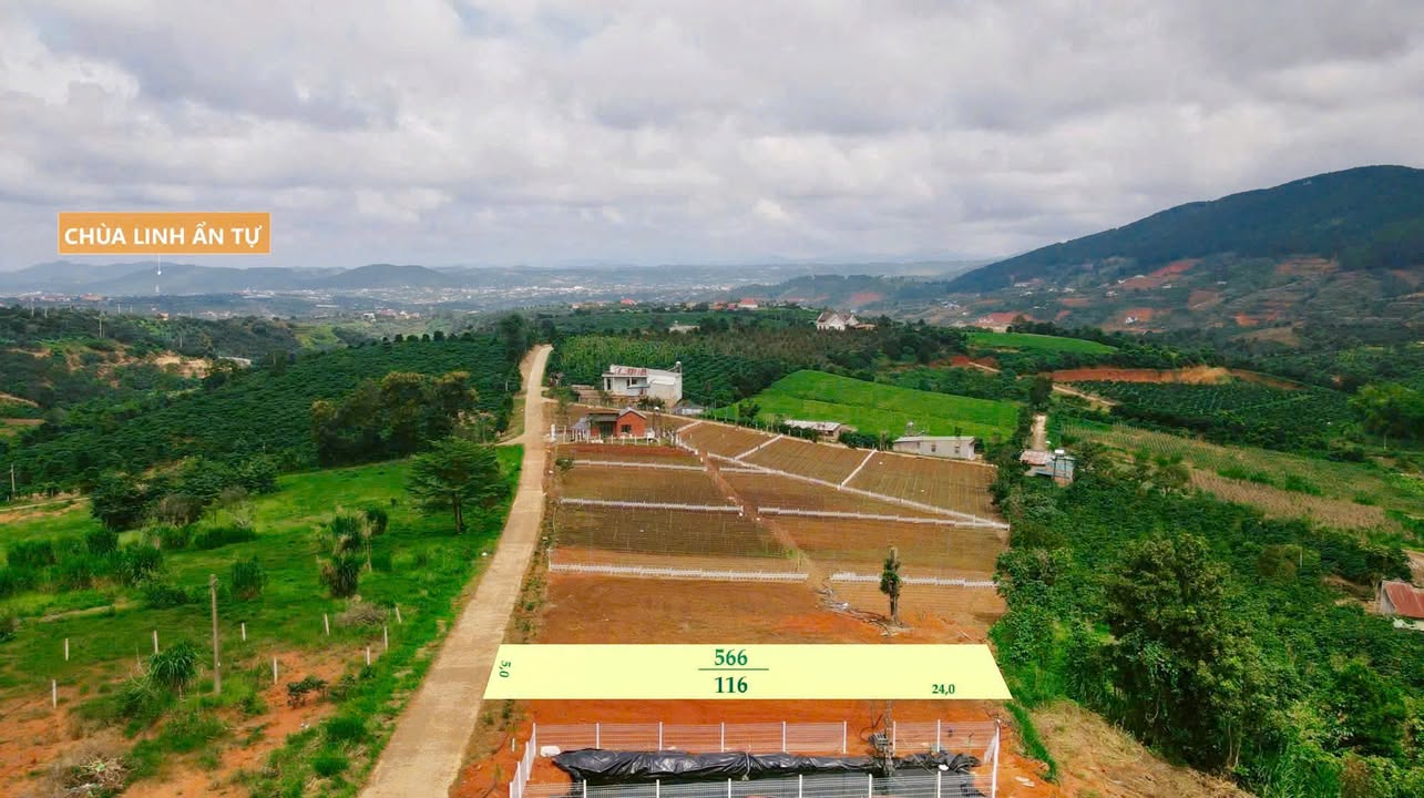 Đất thổ cư 116m² tại thôn Tầm Xá, Lâm Hà - Giá chỉ 550 triệu, view cực đẹp!