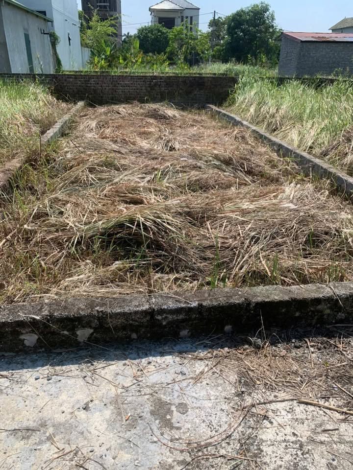 Đất Hồng Vân Thường Tín 45.4m² giá 2 tỷ - Mặt tiền đẹp, sổ hồng chính chủ!