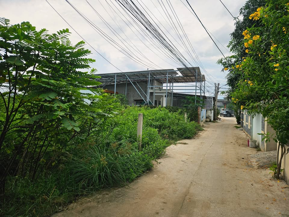 Đất nền tại Hẻm 98 Trương Định, Phường Bảo An 310m² giá 1 tỷ - Cơ hội đầu tư sinh lời!