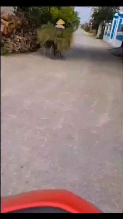 Đất nền Phú Phúc Lý Nhân 300m² giá 1 tỷ - Đầu tư sinh lời cao!