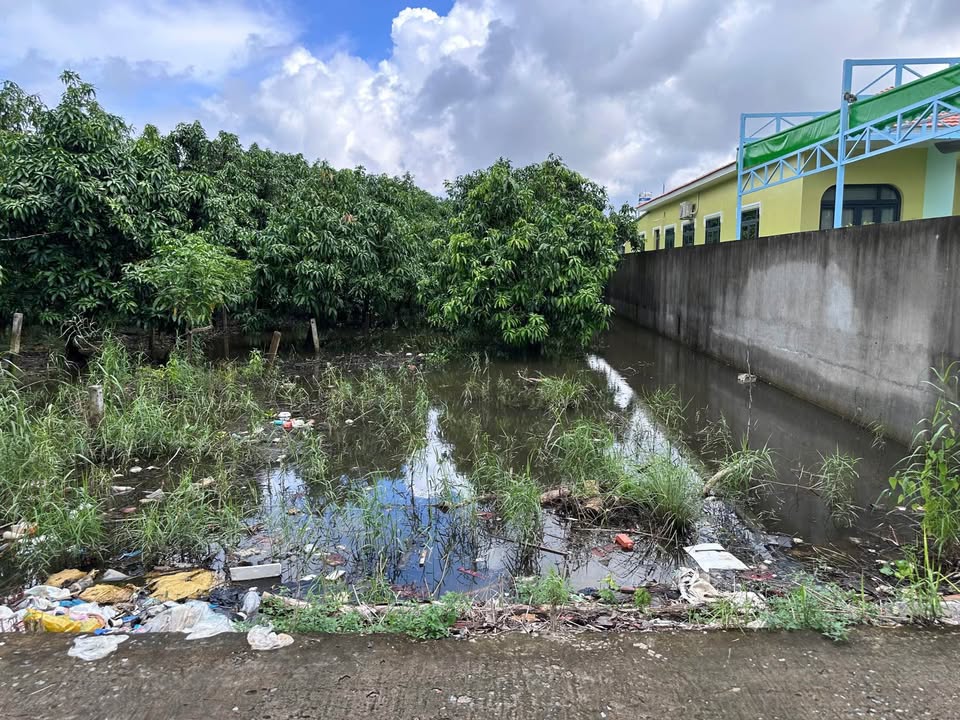 Đất nền đường Lò Rèn, phường Hòa Thuận, 480m² - Cơ hội đầu tư tuyệt vời!