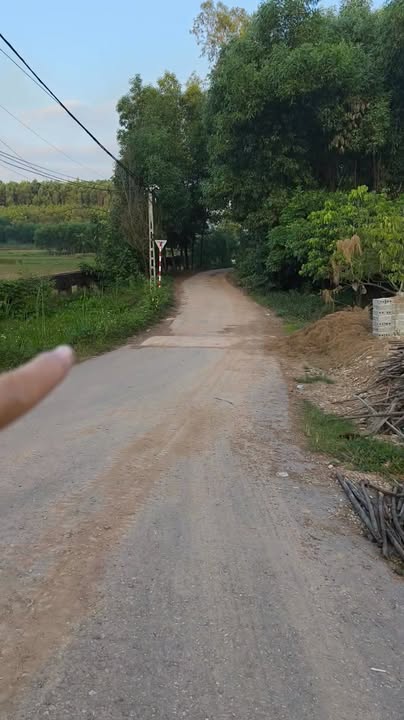 Đất mặt tiền tỉnh lộ 294D, Tam Tiến, Yên Thế, Bắc Giang 131m² giá 1.2 tỷ - Cơ hội kinh doanh tuyệt vời!