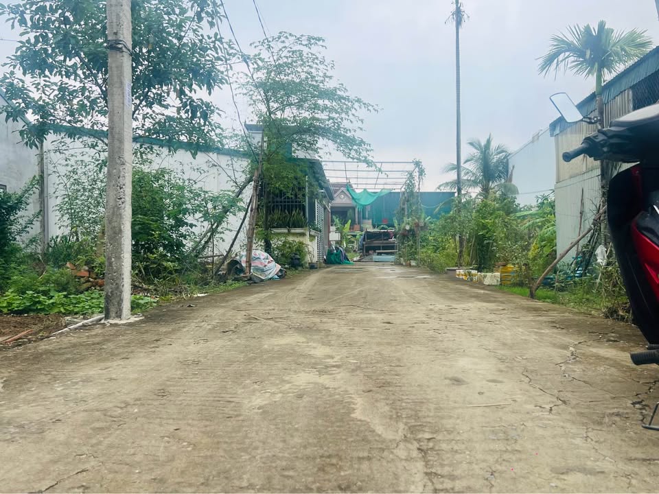 Đất nền vàng phường Hưng Đông TP Vinh 81m² - Vị trí đắc địa, giá thỏa thuận!