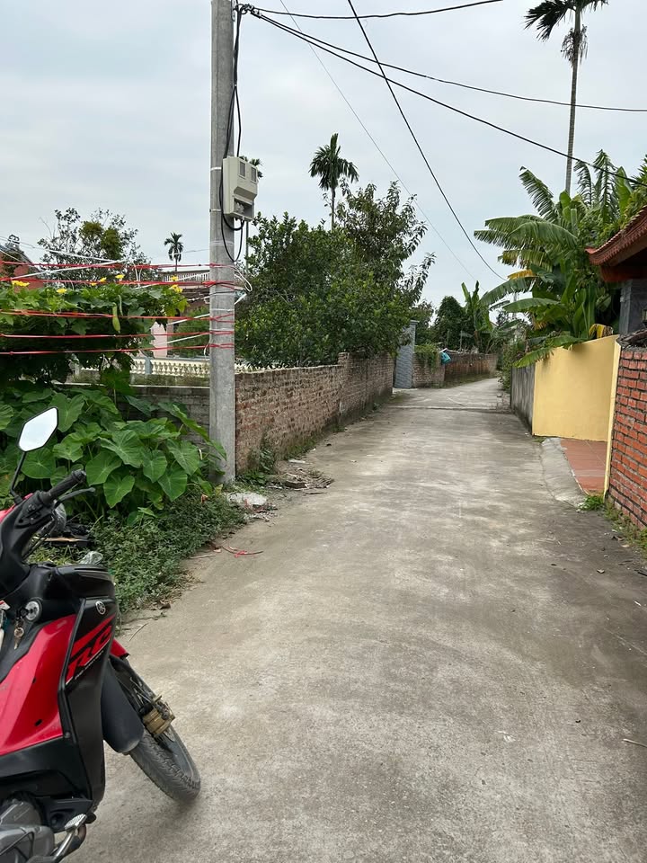 Đất nền Câu Trung, Quang Hưng, An Lão 68m² giá 700 triệu - Sổ đỏ chính chủ!