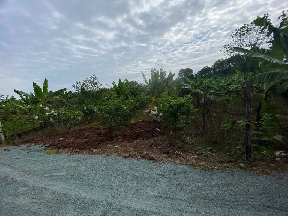 Đất nền 336m² tại Đa Phúc, Sài Sơn, Quốc Oai - Giá chỉ 1 tỷ, đầu tư sinh lời tốt!