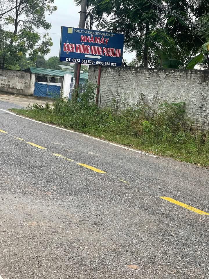 Đất thổ cư xã Thanh Mỹ, Sơn Tây 202.8m² - Giá hấp dẫn cho nhà đầu tư!