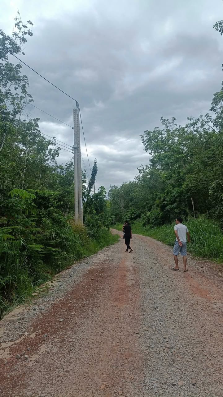 Đất nền 2241m² đường 55 xã Tân Định - Giá chỉ 2.3 tỷ, cơ hội đầu tư lớn!