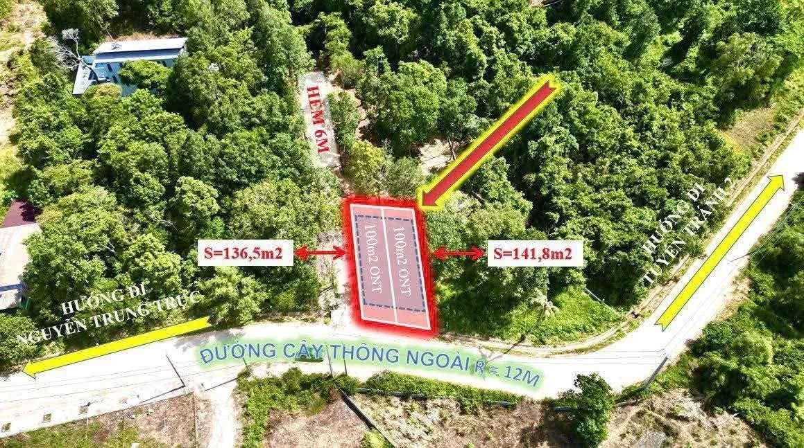 Đất nền Cây Thông Ngoài, Phú Quốc 280m² - Đầu tư an tâm, pháp lý rõ ràng!