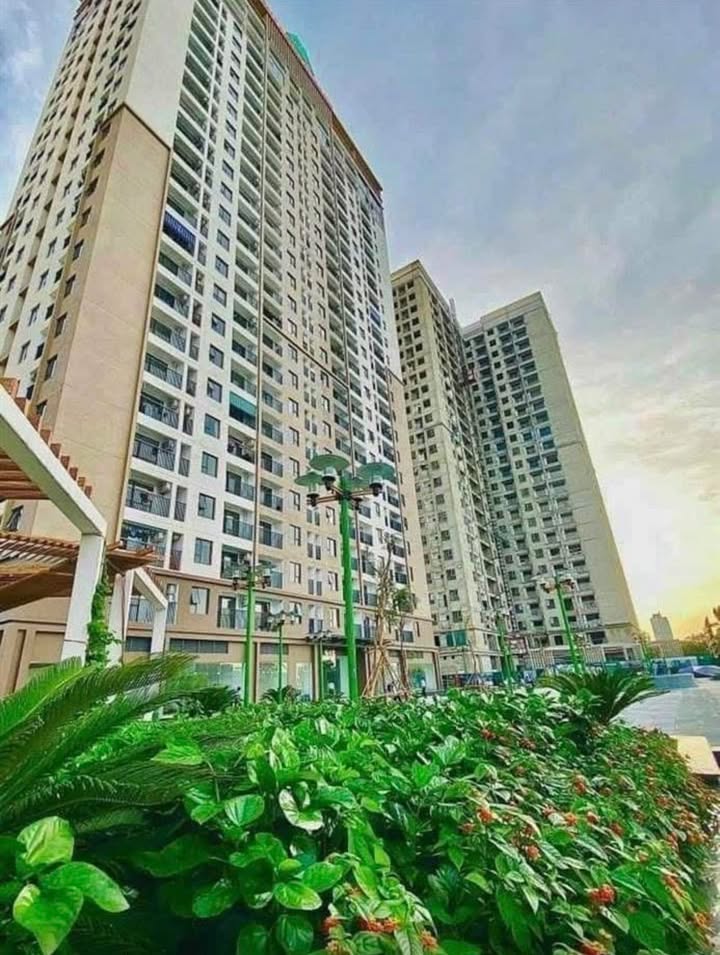 Căn hộ chung cư Xuân Mai Thanh Hóa 72m² giá thỏa thuận - Căn góc đẹp, full nội thất!