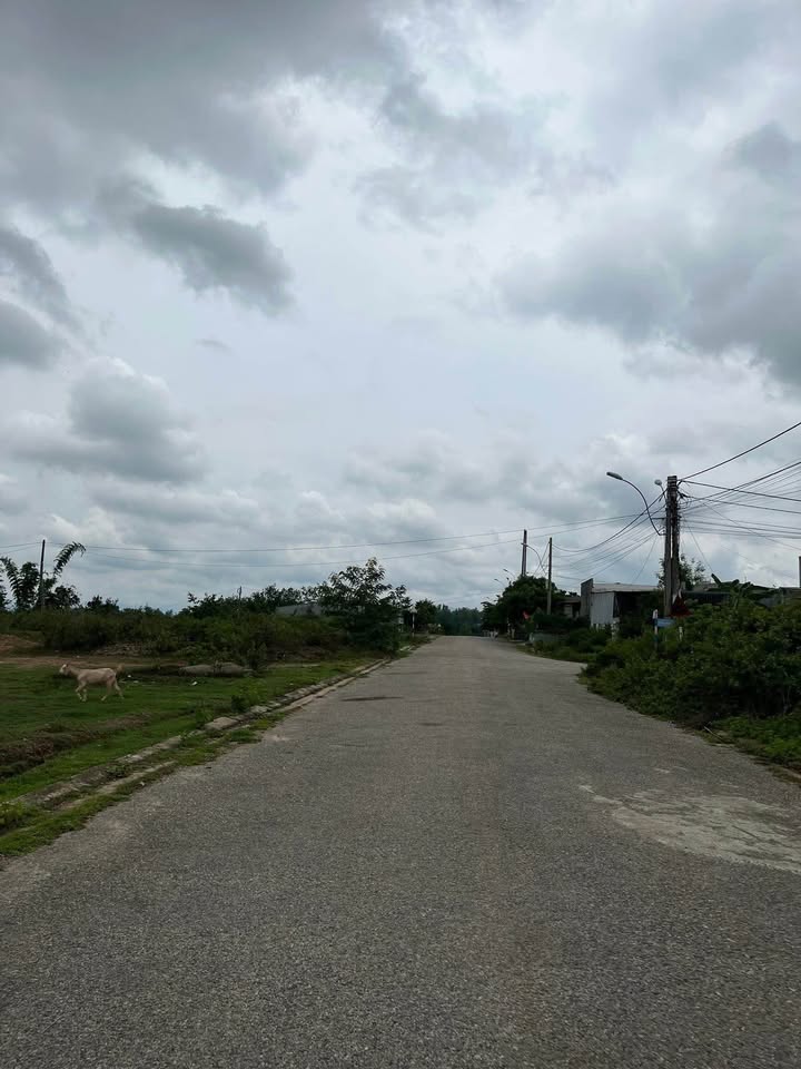 Đất mặt đường Lê Trọng Tấn, phường Duy Tân, 112m² giá 9xx triệu - Vị trí đẹp gần trung tâm!