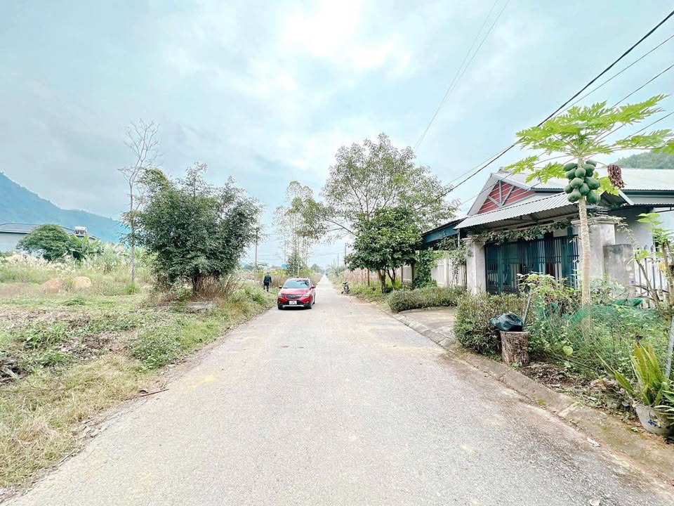 Đất nền khu Tái Định Cư Tân Phú 166m² giá 700 triệu - Tiềm năng đầu tư lớn!