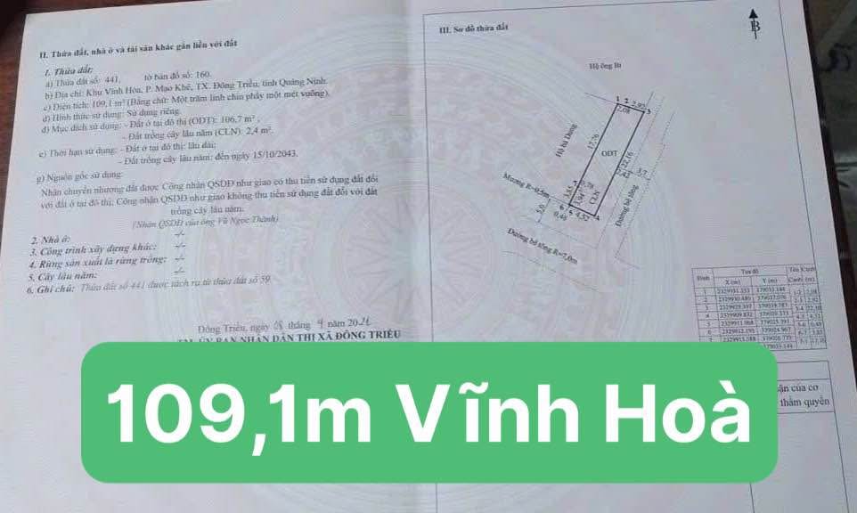 Đất nền Mạo Khê 109,1m² giá chỉ 1.x tỷ - Lô góc trung tâm sầm uất!