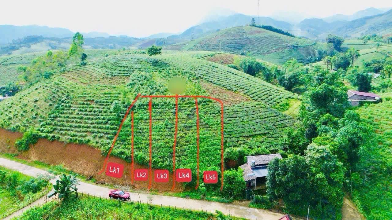 Đất thổ cư Tân Sơn Phú Thọ 100m² giá 200 triệu - Cơ hội đầu tư hấp dẫn!