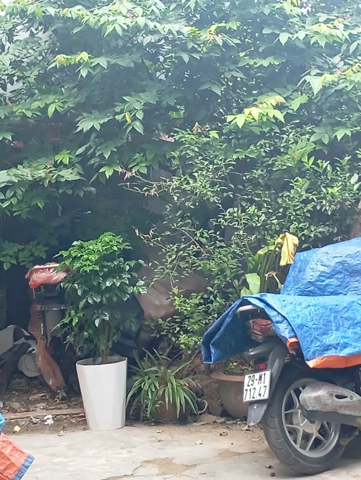 Lô đất đẹp Tả Thanh Oai 46m² giá 5.15 tỷ - Đầu tư sinh lời ngay!