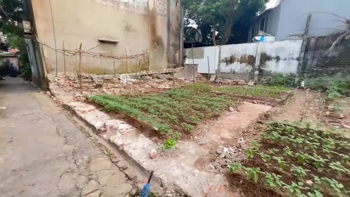 Đất nền Hòa Mạc Duy Tiên 80m² giá tốt - Đường ngõ thông thoáng!