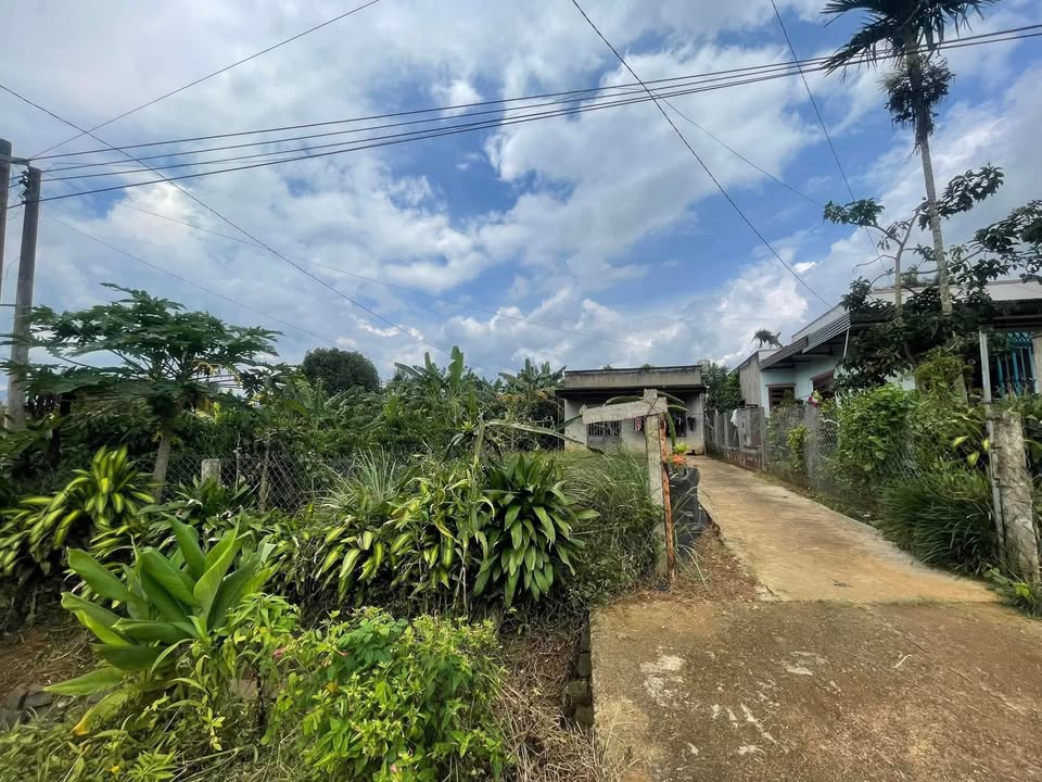 Nhà cấp 4 thôn 3 Hòa Bắc 234m² giá 1.2 tỷ - Thương lượng tốt nhất!