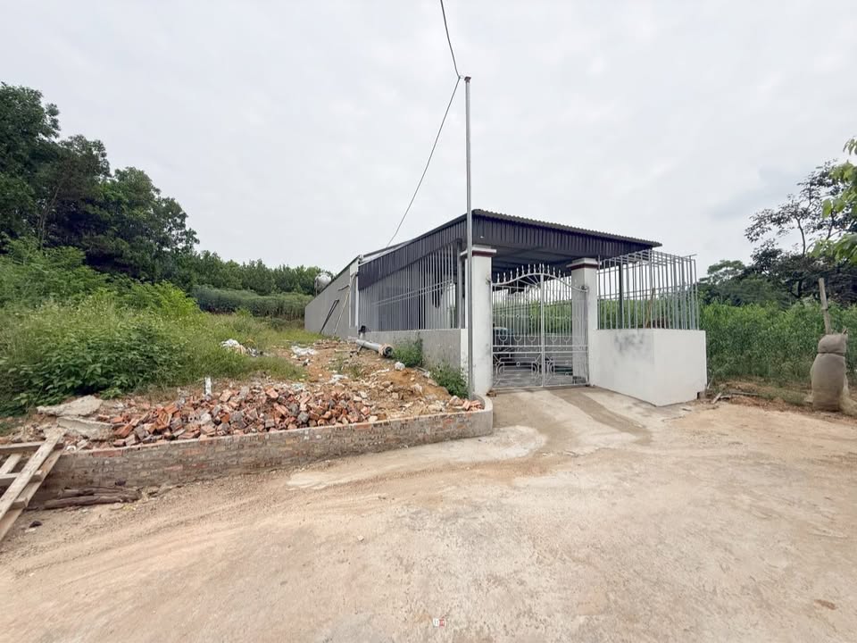 Nhà cấp 4 tại Khu phố 1, Phú Hộ, Phú Thọ 162.9m² chỉ 900 triệu - Nhà mới đẹp như mơ!