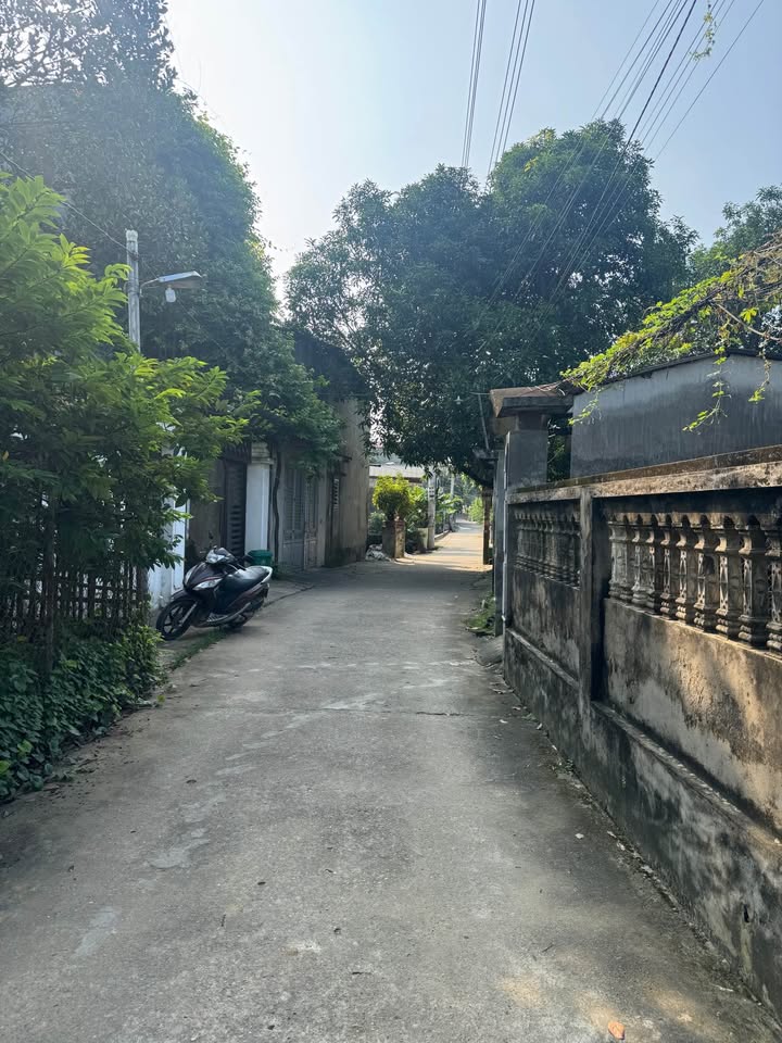 Đất thổ cư phường An Tường, Tuyên Quang 100m² giá 2 tỷ - Sổ hồng chính chủ!