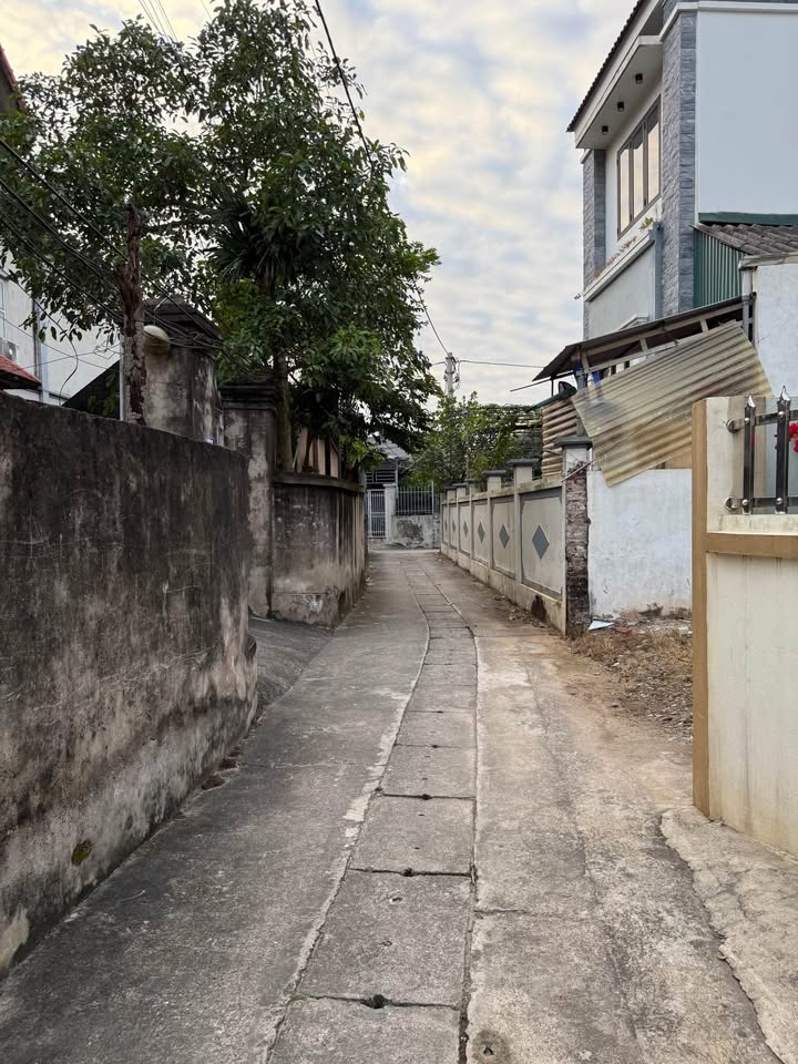 Đất thổ cư Thư Phú, Thường Tín 71m² giá 2 tỷ - Cơ hội đầu tư tuyệt vời!