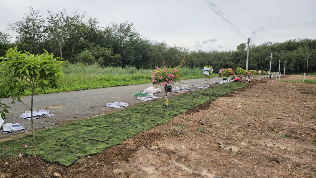 Đất nền An Long, TP.HCM 250m² chỉ 740 triệu - Đầu tư sinh lời bền vững!