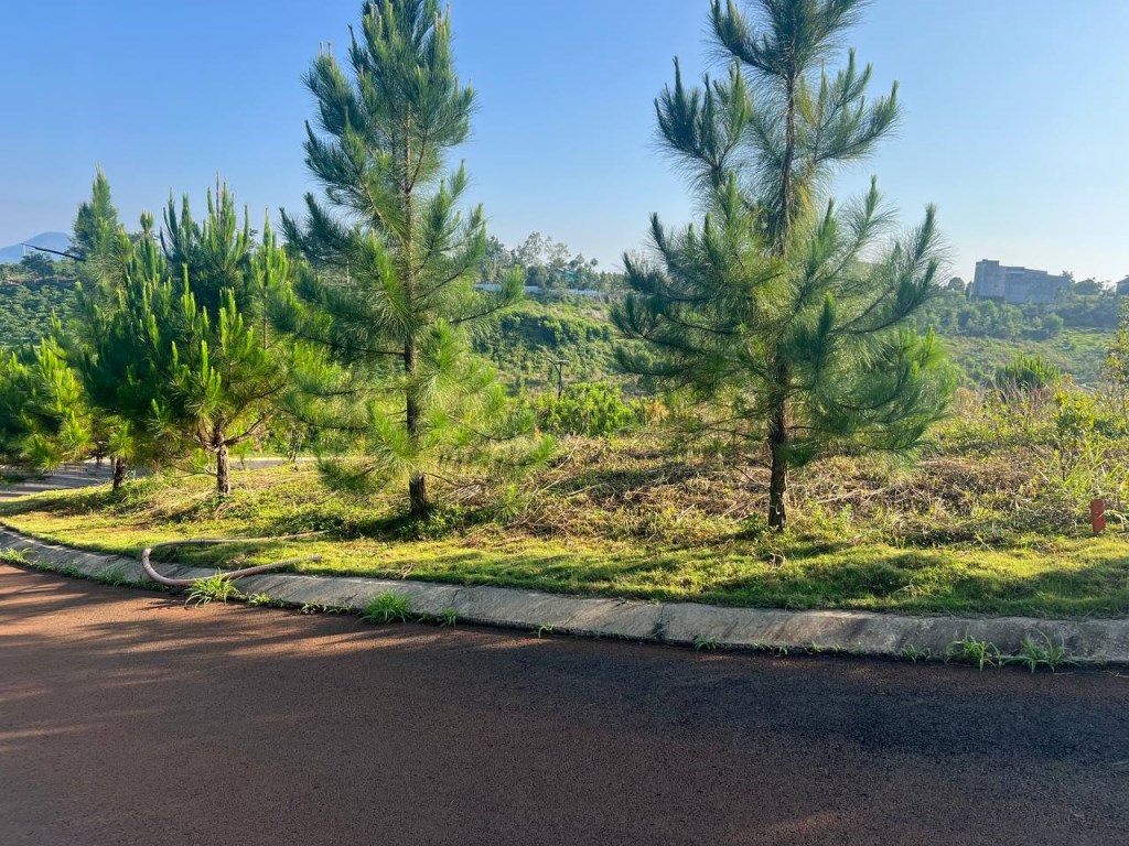 Đất nền Lộc Tân Bảo Lâm 128,4m² giá 1,28 tỷ - Cơ hội đầu tư sinh lời cao!