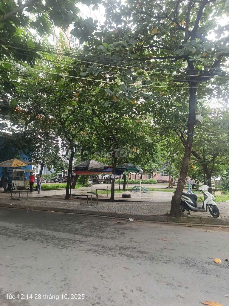 Nhà phố Bông Sao, Q8 - 43m² giá 5.98 tỷ - Sổ hồng riêng, xe hơi vào tận nhà!