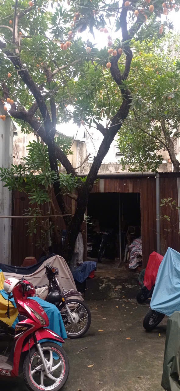 Nhà nát bán gấp đường Cao Xuân Dục, Q8, 76m² - Tiện xây mới cao tầng!