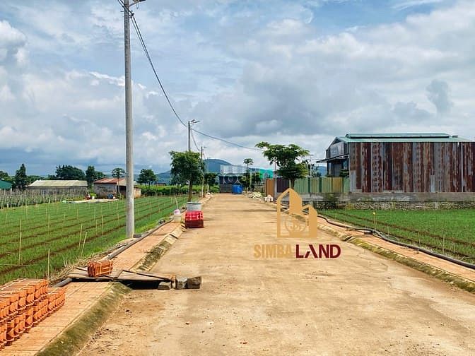 Đất nền biệt thự TT Liên Nghĩa 240m² giá 1.95 tỷ - Cơ hội đầu tư sinh lời cao!