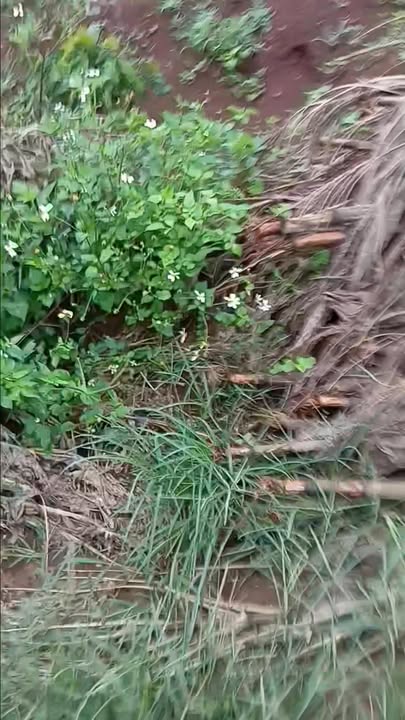 Đất nền Đức Bình, Lâm Hà 7400m² giá 3.25 tỷ - Cơ hội đầu tư sinh lời!