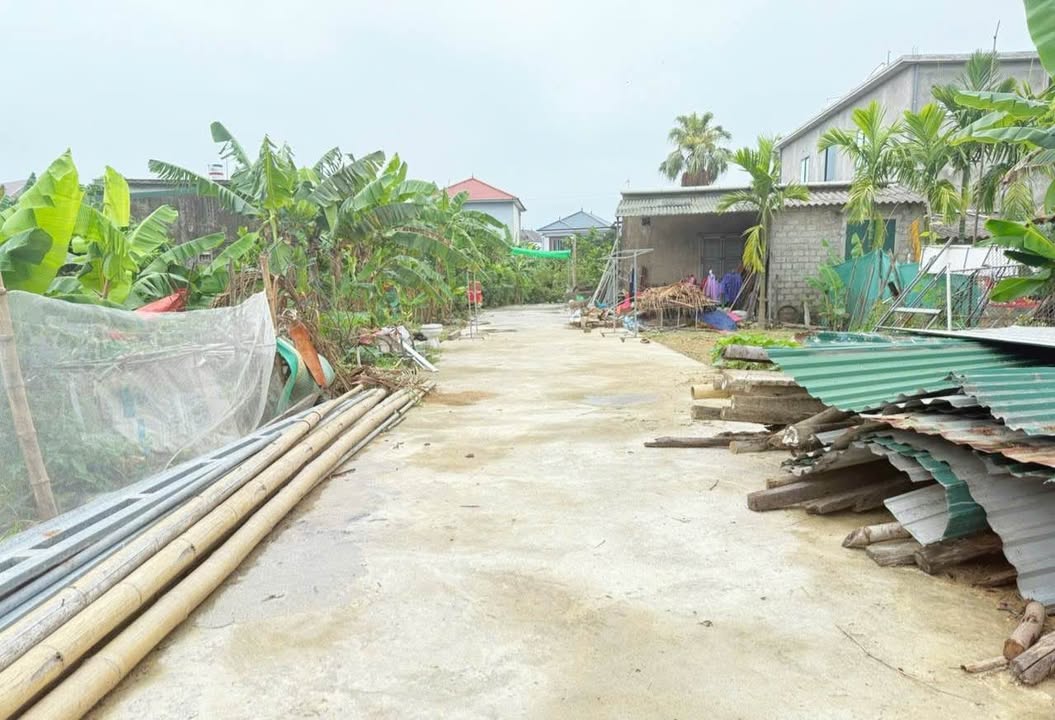 Đất thổ cư tại thôn Trung Hòa, xã Tân Lâm Hương 99m² giá thỏa thuận - Vị trí thuận lợi gần chợ và trường học!