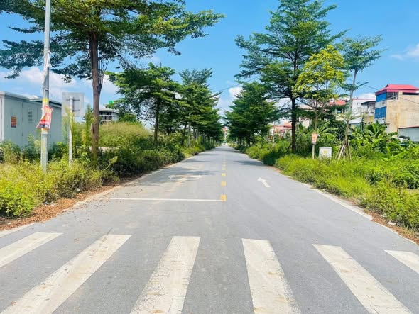 Đất nền Dabaco GD2 Thuận Thành 100m² giá 5.1 tỷ - Đầu tư sinh lời hấp dẫn!