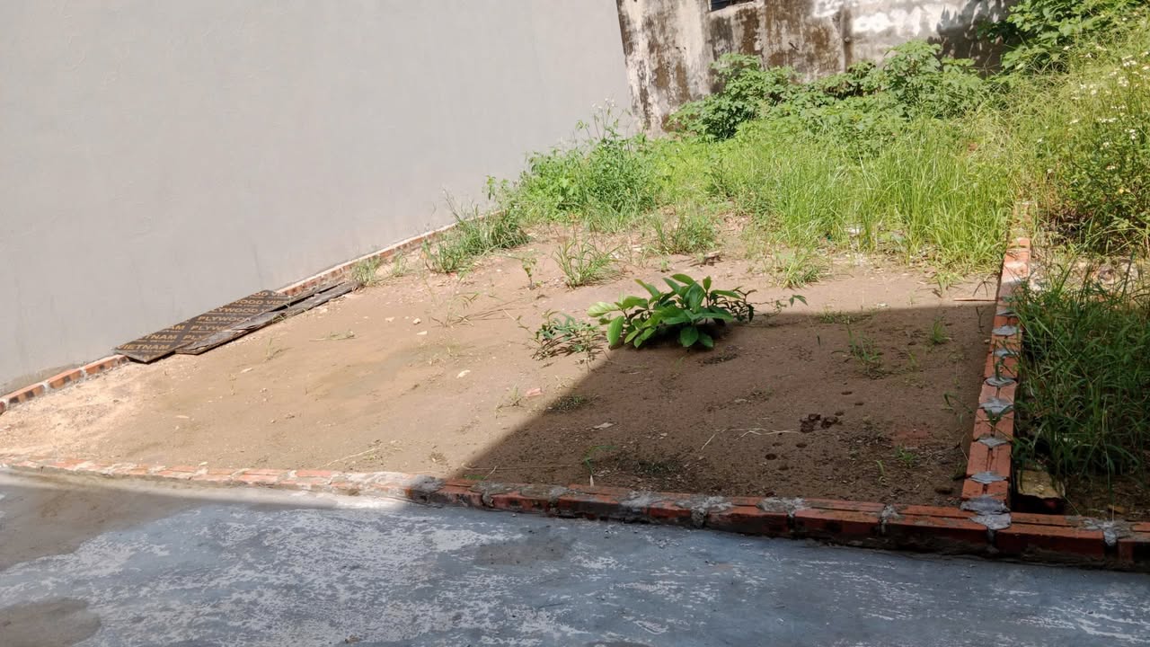 Đất nền Đa Tốn, Gia Lâm 45m² giá 4 tỷ - Cơ hội đầu tư hấp dẫn!