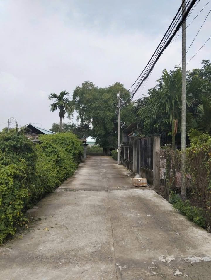 Đất nền Tân Hiệp Hóc Môn 165m² giá 3.5 tỷ - Hướng Đông, sổ đỏ chính chủ!