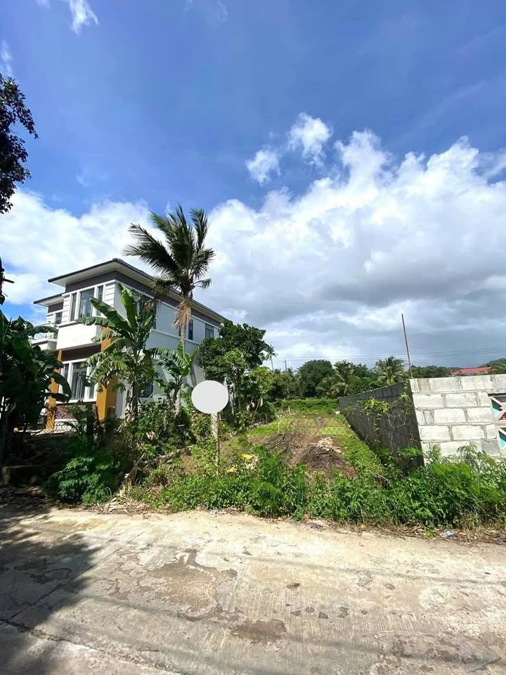 Đất thổ cư Xuân Phú - Sông Cầu 143.6m² giá chỉ 1.3 tỷ - Đường ô tô vào tận nơi!