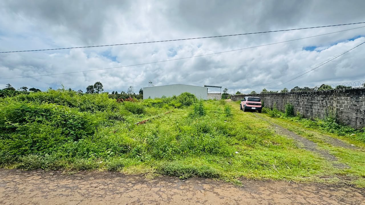 Đất nền hẻm 100 Nguyễn Kiệm, 162.4m², giá chỉ 650 triệu - Đầu tư sinh lời ngay!