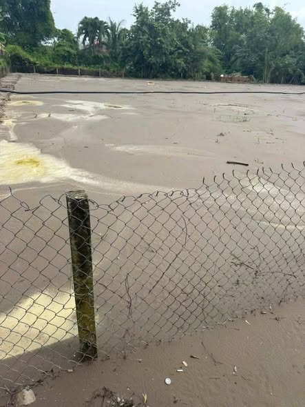 Đất nền chính chủ Mỹ Lộc, Cần Giuộc 127m² giá 670 triệu - Cơ hội đầu tư vàng!