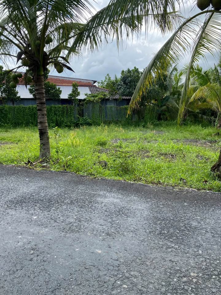 Đất thổ cư 75m² tại xã Tân Long Hội, giá chỉ 170 triệu - Sẵn sàng xây dựng ngay!