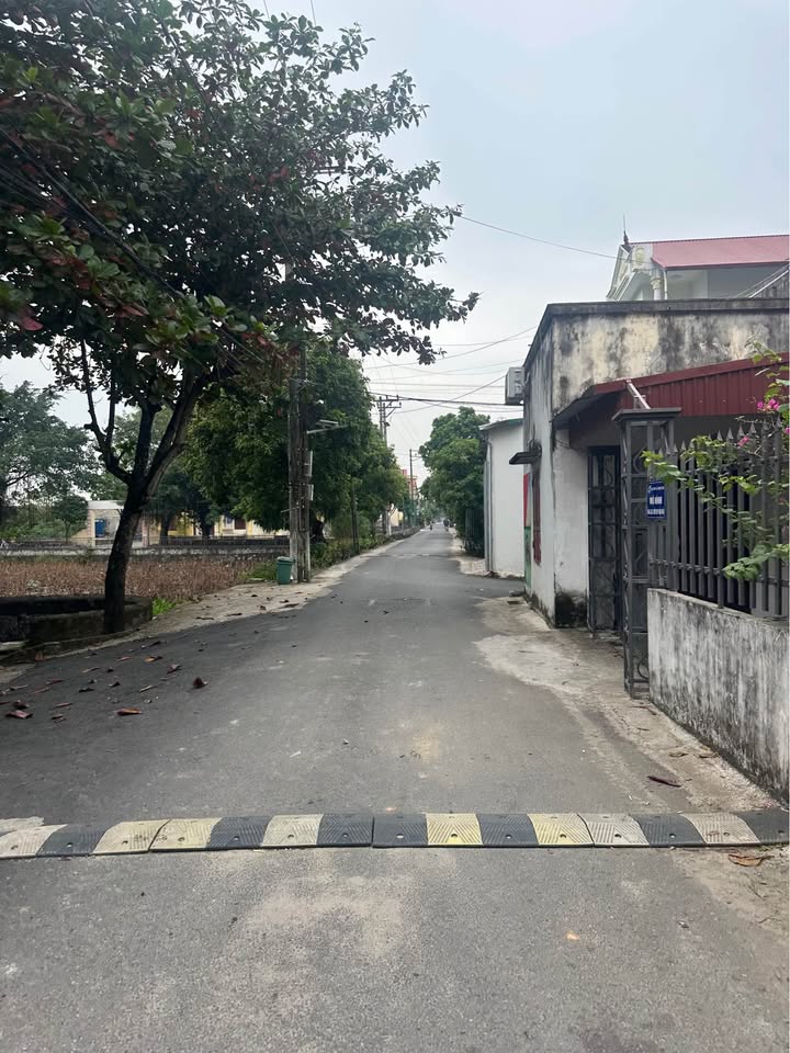 Bán đất thôn Thanh Thượng, Ninh Bình 105m² giá 3 tỷ - Vị trí đẹp, tiện ích đầy đủ!