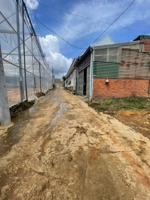 Đất nền phường Lâm Viên - Đà Lạt 100m² giá 1.2 tỷ - Đầu tư sinh lời lý tưởng!