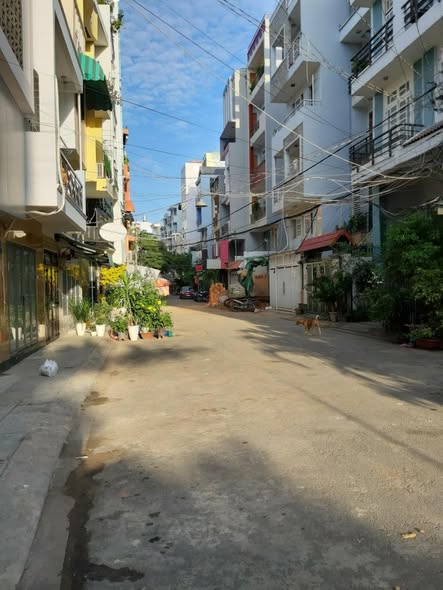 Nhà hẻm 10m Cách Mạng Tháng 8, Quận 3, 128m² giá chỉ 35 tỷ - Đầu tư sinh lời!