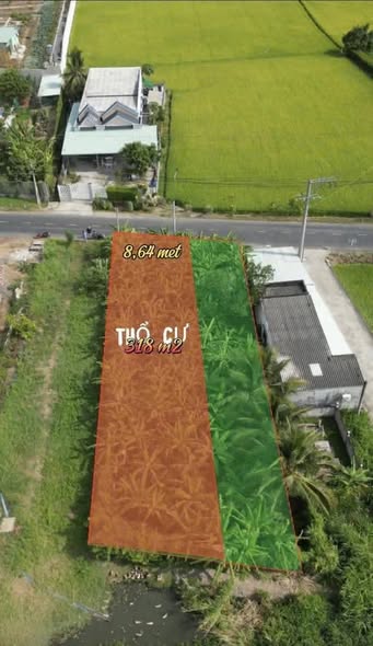 Đất thổ cư mặt tiền Tỉnh lộ 833D, xã Nhựt Tảo, 555m² - Cơ hội đầu tư tuyệt vời!