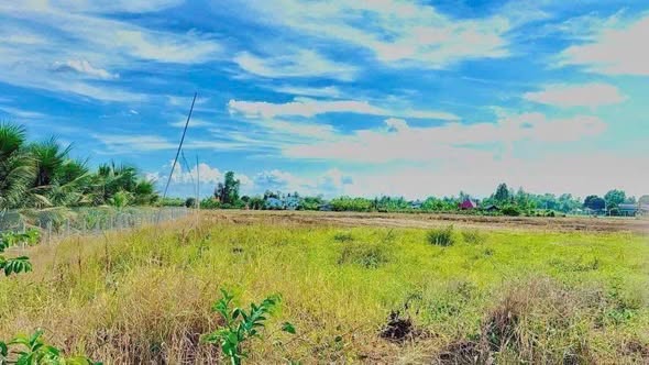 Đất vườn view kênh tại xã Tân Trụ 611m² giá 499 triệu - Sổ đỏ chính chủ!