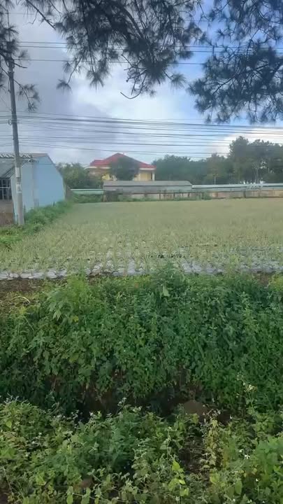 Đất thổ cư 150m² tại xã Gia Băng, Đắc Đoa - Cơ hội kinh doanh tuyệt vời!