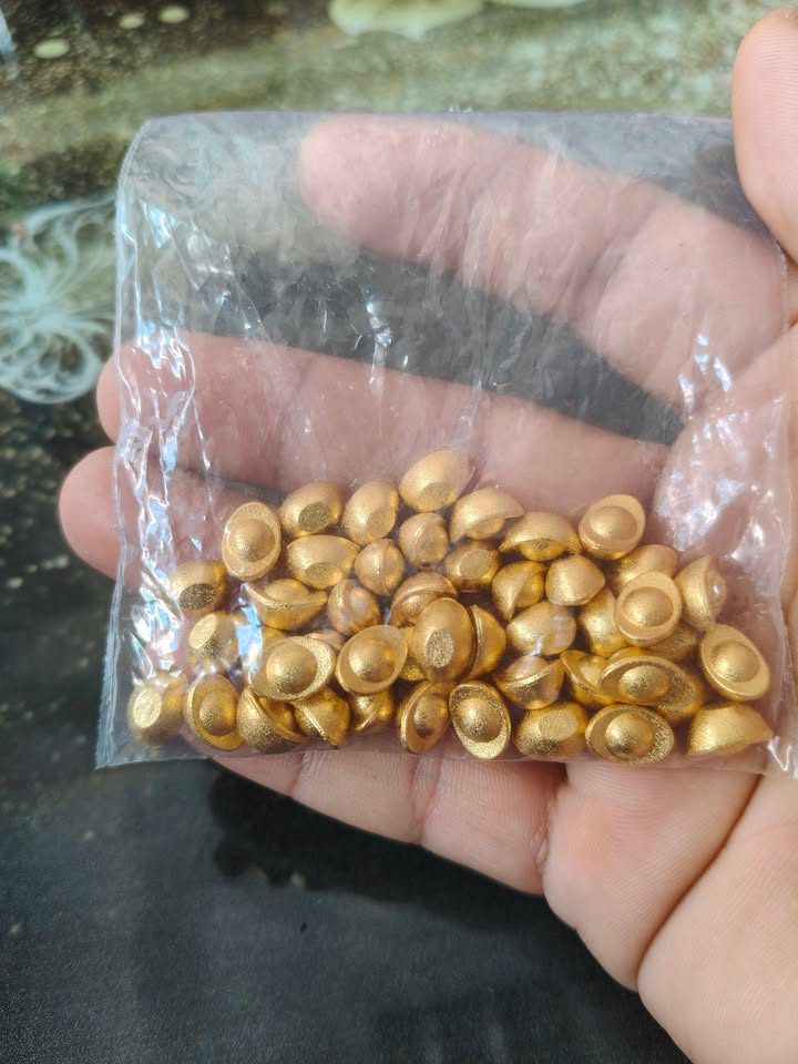 Nhà kho tại Khu phố 8, phường Phước Bình, 420m² giá 1.8 tỷ - Hạ giá sốc, tặng bình điện ba pha!