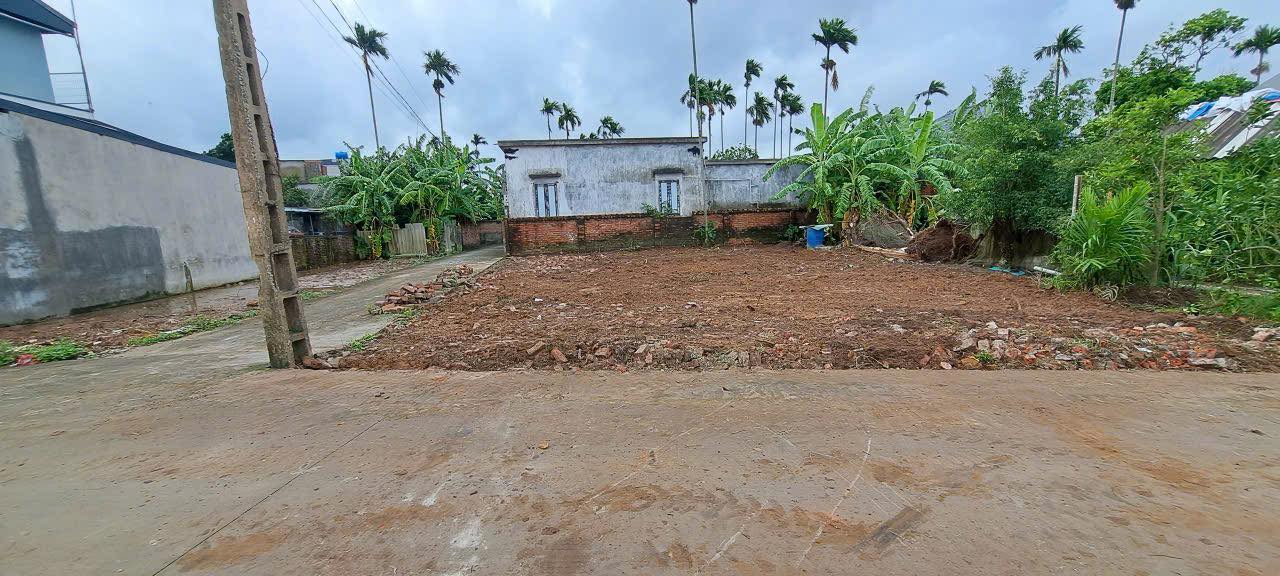 Đất khu công nghiệp Tiên Thanh, Tiên Lãng, Hải Phòng 82m² giá 1 tỷ - Đường thông thoáng dễ dàng di chuyển!