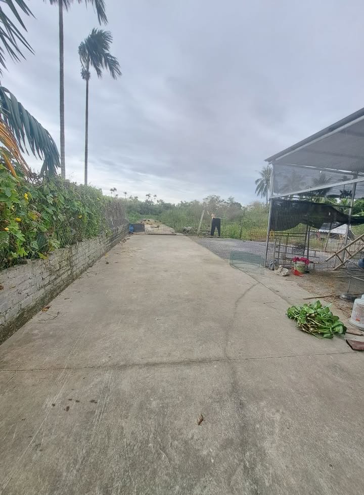 Đất Nền Đông Xuyên Ninh Giang 118m² giá 400 triệu - Cơ hội đầu tư hiếm có!